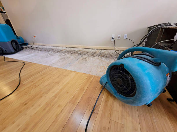 Professional Water Damage Repair technician working in Lincoln, ID